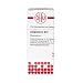 Produktbild DHU Sanguinaria D12 Streukügelchen, 10 g Globuli