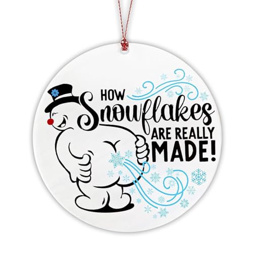 Christmas Ornaments 2025, Funny Adult Snowman Ornament, How Snowflakes are Really Made, Naughty Christmas Decorations, Hilarious Gift Exchange Ideas for Friends, White Elephant Ornament