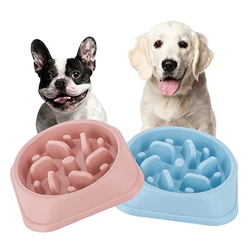 Cuenco doble para perros con alimentación lenta (rosa+azul) Cover
