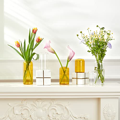 Image of ZENS Glass Bud Vase Set of 3, Hand Blown Small Amber Bud Vases for Flower Decorative, Modern Cylinder Clear Glass Vase for Wedding,Living Room Home Decor