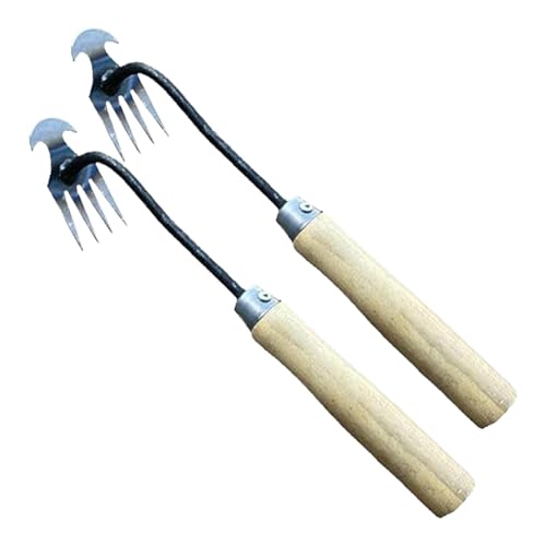 蓮c[A蓹 GuVAGc[ 4 A c[ 蓮c[  K[fjOpi pAnhtpA[eBt@NgA_̎Gp@\@ƒ̏/a@/ẙɂ/d/ |p 