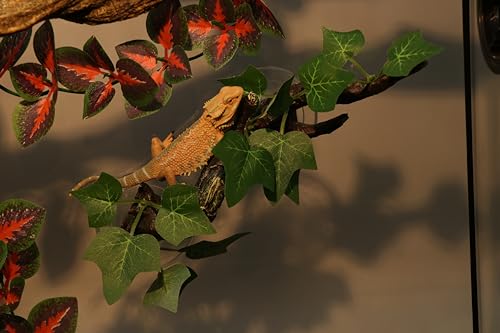 image for AQUA KT Reptile Corner Branch Terrarium Plant Decoration with Suction 