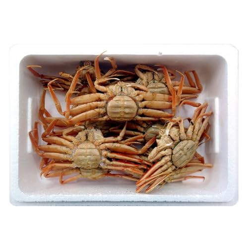 兵庫県香住産 釜茹でセコガニ 6〜10匹(約1.2kg)