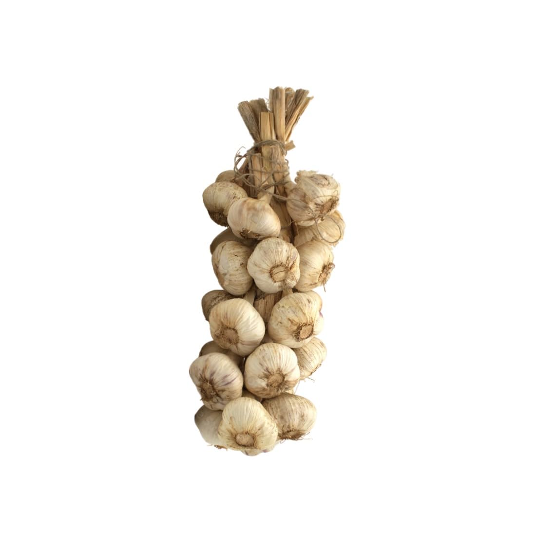 Treccia D'Aglio 1,2 Kg Circa