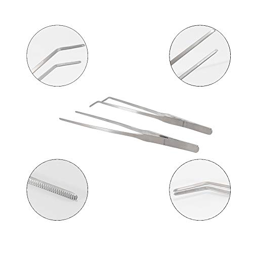 YOGURTCK Stainless Steel Long Reptile Tweezers Feeding Tongs for Snake Lizards Gecko and Bearded Dragon Leopard Spider… - Image 4