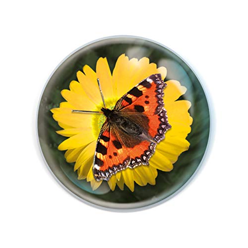 Deluxebase Magnidome - Papillon de Aimant Insecte pour Frigo en Verre de Cristal pour Enfants. Magnifiques dômes magnétiques pour la décoration de la Maison
