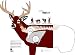 Hoppe's No. 9 Critter Target Paper, Big Buck And Deer (Pack of 5)