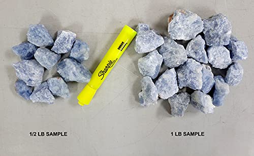 MINERALUNIVERSE 1/2 LB Blue Calcite Rough Stones - Bulk Blue Calcite Crystal - Raw Natural Stones & Crystals - Fountain Rocks for Tumbling, Polishing, Wire Wrapping, Reiki, Chakra Crystal Healing by MINERALUNIVERSE - Used condition - Image 2