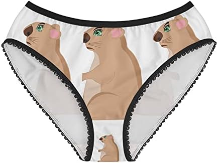 Animal Woodchuck Panties, Animal Woodchuck Underwear, Briefs, Cotton Briefs, Funny Underwear, Panties For Women
