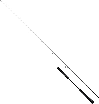 Shimano Jigging Rod 21 Game Type LJ Spinning Model, Various