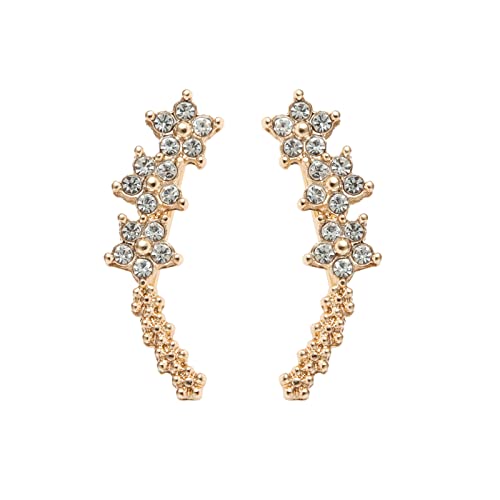 Pendientes Plata de Ley 925 Mujeres con Circonitas Cúbicas y Diseño de Pequeñas Floresa lo Largo de la Oreja, Pendiente hipoalergénico Cover