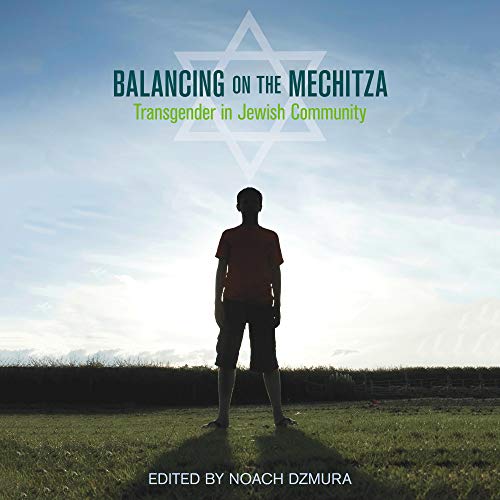 Balancing on the Mechitza by Noach Dzmura episode artwork
