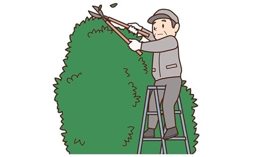 いせはら安心お助け隊 植木剪定サービス2時間|伊勢原市 いせはら 庭 植木 選定 木 掃除 チケット [1021]