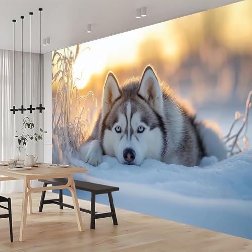 Fresque Murale Husky 3D : Métamorphosez votre Chambre à Coucher