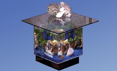 212 Main Aqua End Table Aquarium