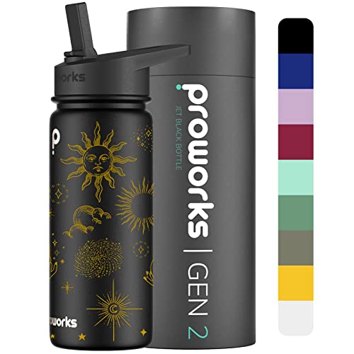 PROWORKS Gen 2 Gourde Isotherme Paille 540ml Bouteille Isotherme pour Boissons Froides Pendant 24 Heures et Chaudes Pendant 12 Heures Gourde INOX étanche pour Travail Les Voyages Noir de Jais Céleste Cover