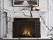 Fire Beauty Fireplace Screen 3 Panel with Handles Wrought Iron 51