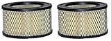 Wix Air Filter - 42087 (Pack of 2)