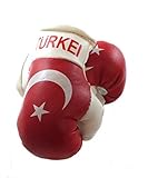 Sportfanshop24 Mini Boxhandschuhe TÜRKEI, 1 Paar (2 Stück) Miniboxhandschuhe z. B. für Auto-Innenspiegel