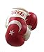 Sportfanshop24 Mini Boxhandschuhe TÜRKEI, 1 Paar (2 Stück) Miniboxhandschuhe z. B. für Auto-Innenspiegel