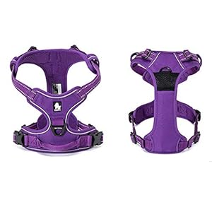 TRUE LOVE Adjustable No-Pull Dog Harness Reflective Pup Vest Harnesses Comfortable Control Brilliant Colors Truelove TLH5651(Purple,XS) Product Name TRUE LOVE Adjustable No Pull Dog Harness Reflective Pup Vest Harnesses Comfortable Control Brilliant Colors Truelove TLH5651PurpleXS Product Name