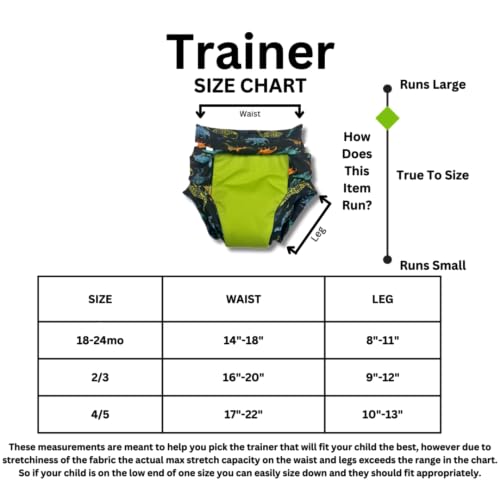 Image of Reusable Organic Cloth Training Pants Heavy Daytime Absorbency Waterproof (4-5, After The Storm)