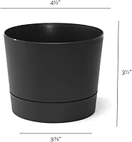 Vista 5 de Root & Vessel Majestic Mid-Century Modern - Maceta cilíndrica de perfil bajo, color negro mate, 4.5 pulgadas