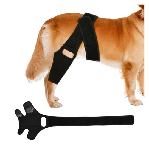 ybgpGu[X ߉\ K prqbvu[X T|[go[ pҊ֐ߒEPGWpŒp(L)