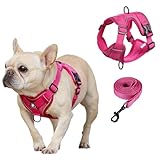 SOLMOONY Small Dog Harness,Soft Mesh Puppy Harness and Leash Set,No Escape Cat Harnesses for Training Walking,Reflective Adjustable Puppy Vest for Small Medium Dogs, Cats (Hot Pink, S)