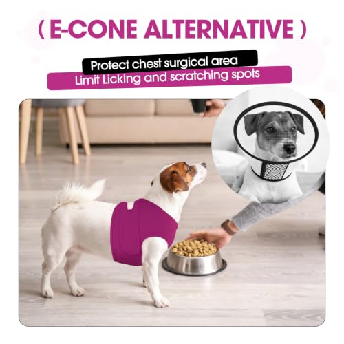Image of BRKURLEG Dog Chest Recovery Suit After Surgery, Purple L | Dog Chest & shoulder Wound Cover, Breathable & Soft Anti-Licking Wound Vest, Not for Spay /Neuter Surgeries, Cone Alternative