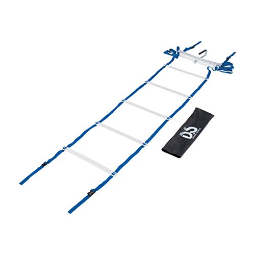 ダンノ トレーニング用ラダー ラダーHDX40 D5309