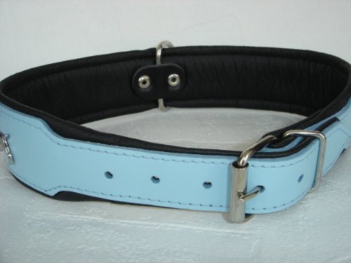 Bullterrier HUNDEHALSBAND - Halsband, Halsumfang 44-52cm/50mm, Leder Blau