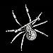 DREAMLANDSALES Victorian Style White Mother of Pearl Body and Micro Pave Head Spider Brooch Pin (White)