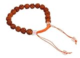 Amazingindiaonline 5 Mukhi Rudraksha Armband zur Regulierung von Blutdruck und Körperfett mit Kristall