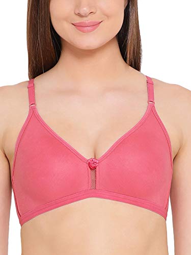Image of Clovia Women Bra