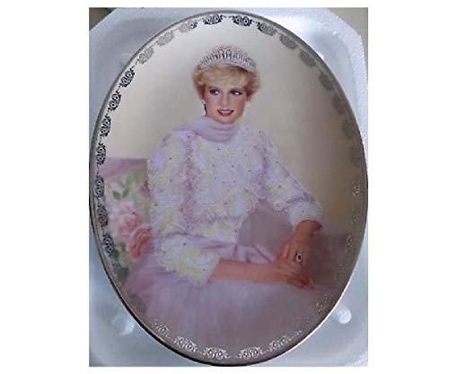 1998 Bradford Exchange Porcelain Plate -- PRINCESS DIANA -- PLATE #5 "PRINCESS TO THE WORLD" -- DIANA: QUEEN OF OUR HEARTS COLLECTION