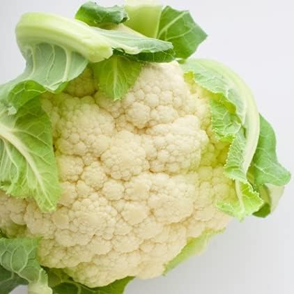 徳島県産 カリフラワー 送料無料お手入れ要らず ｌ 2ｌサイズ 約900g 1株
