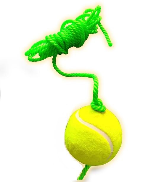 AEROLOOKS Hanging Easy to Learn Training Tennis Ball - 3.5 mtrs Rope (1) - with Two Knots, Nylon (Green) (Pack of 1) n (B0CXJMCK1C) Amazon Price History, Amazon Price Tracker