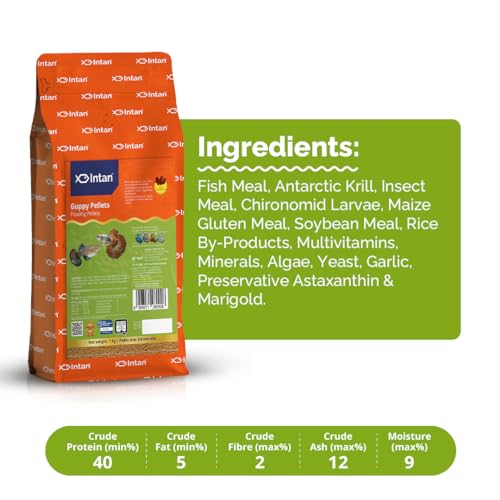 Image of Intan Aquatic Guppy Pellet Fish Food | Floating Pellet For Health And Growth | 0.8 MM Dia, 1 kg, Pack of 1,All Life Stages