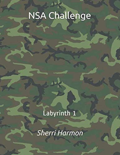 NSA Challenge: Labyrinth 1      Paperback – December 27, 2019