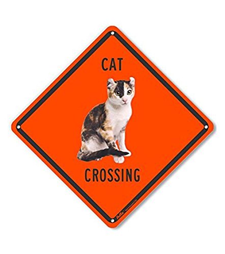 Panneau en aluminium chat croisé, idée cadeau idéale pour fans de chats