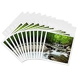 3dRose Greeting Cards - Tennessee, Great Smoky Mountains National Park. Little Pigeon River. - 12 Pack - Great Smoky Mountains