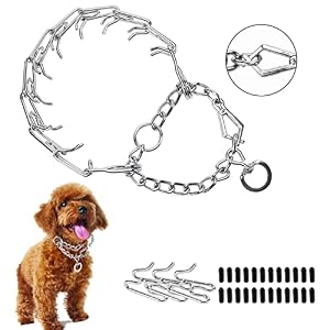 No Pull Prong Collar for Small Medium Large Dogs Pinch Collar with Rubber Tips Adjustable Quick Release Springer Collar