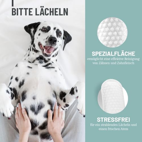 ReaVET Denta Vital - Zahnpflege Finger-Pads für Hunde & Katzen 50 Stück – Zahnreinigung, Zahnpflege ohne Zahnbürste Zahnsteinentferner I Fingerpads, Fingerlinge gegen Mundgeruch