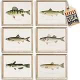 Fish Wall Art Prints (Set of 6) - Unframed - 8x10s | Vintage Fishing Decor