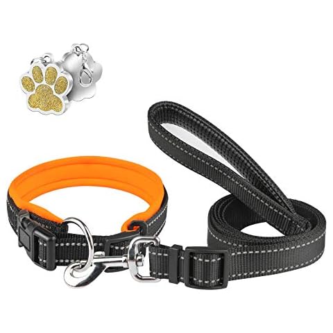 Soft Dog Collar and Lead Set 5FT/1.5M with Tag Reflective Adjustable Dog Leash Padded Neoprene Pet Collar Comfortable for Small Medium Large Dogs - Orange - M Cover