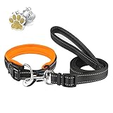 【CORREA PARA PERRO AJUSTABLE DE 5 PIES】 - 150 cm / 5 pies de largo y 2,5 cm de ancho. La longitud se puede ajustar a voluntad. Darle al perro la libertad adecuada sin molestar a los demás cuando pasea al perro. Ideal para correr, caminar, entrenar y hacer senderismo con tu peludo amigo.