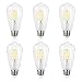 Antique LED Bulb, SHINE HAI 4W (40W Equivalent) ST58 Vintage Edison Light Bulb LED Lighting, 470 Lumen Daylight White 5000K E26 Base, Pack of 6