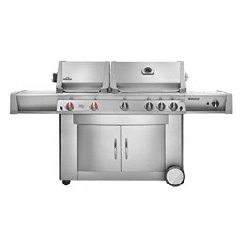 Preisvergleich Produktbild Napoleon Prestige 2, Edelstahl, Gemini