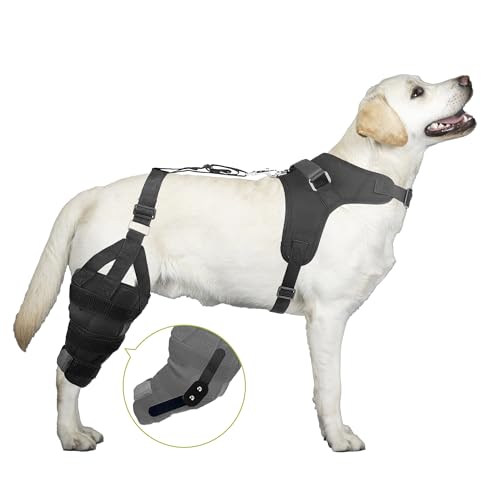 KISFLY Dog ACL Brace Hind Leg for Joint Pain Luxating Patella Dysplasia Dog Leg Braces for Back Leg with Metal Hinge for Better Support and Recovery Both Legs XL